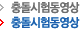 충돌시험동영상